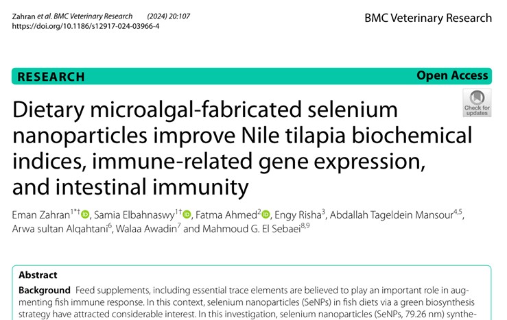 Dietary microalgal-fabricated selenium nanoparticles improve Nile tilapia biochemical indices, immune-related gene expression, and intestinal immunity